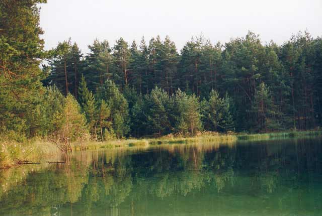 Nationalpark Tucheler Heide